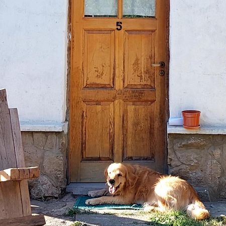 Buena Onda I Βίλα San Martín de los Andes Εξωτερικό φωτογραφία